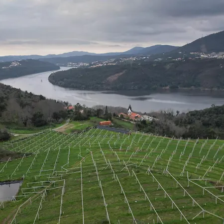 別荘 Encanto Do Douro Antigo *